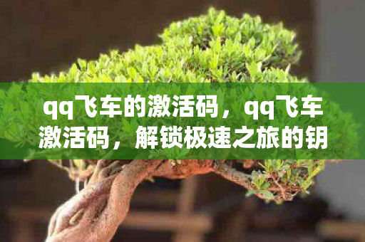 qq飞车的激活码,qq飞车激活码,解锁极速之旅的钥匙 qq飞车的激活码,qq飞车激活码,解锁极速之旅的钥匙