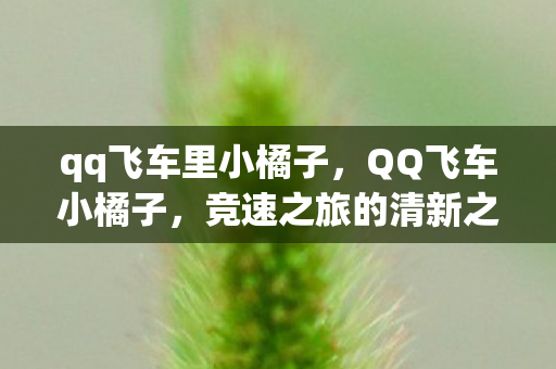 qq飞车里小橘子,QQ飞车小橘子,竞速之旅的清新之风 qq飞车里小橘子,QQ飞车小橘子,竞速之旅的清新之风
