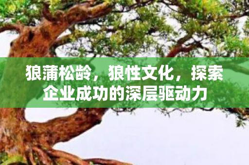 狼蒲松龄，狼性文化，探索企业成功的深层驱动力