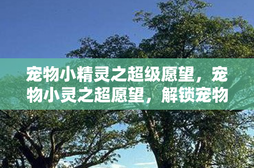 宠物小精灵之超级愿望，宠物小灵之超愿望，解锁宠物世界的无限可能