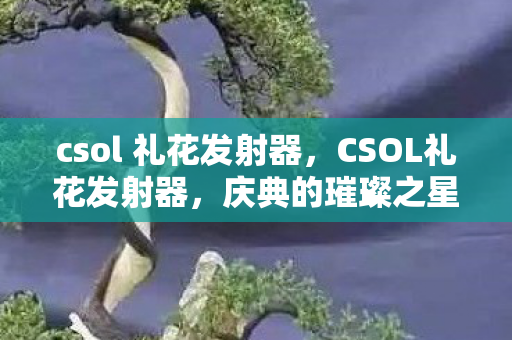 csol 礼花发射器,CSOL礼花发射器,庆典的璀璨之星 csol 礼花发射器,CSOL礼花发射器,庆典的璀璨之星
