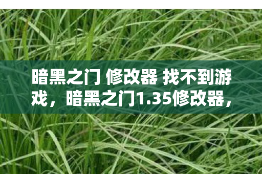 暗黑之门 修改器 找不到游戏,暗黑之门1.35修改器,解锁无限可能的冒险之旅 暗黑之门 修改器 找不到游戏,暗黑之门1.35修改器,解锁无限可能的冒险之旅