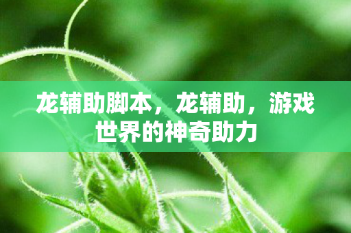 龙辅助脚本,龙辅助,游戏世界的神奇助力 龙辅助脚本,龙辅助,游戏世界的神奇助力