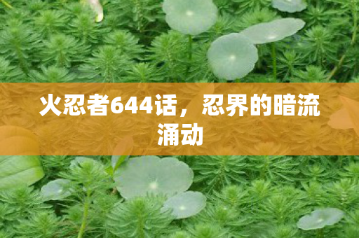 火忍者644话，忍界的暗流涌动