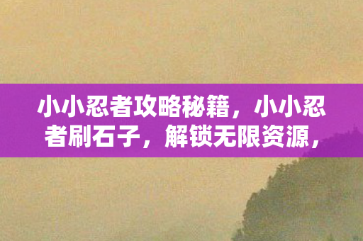 小小忍者攻略秘籍,小小忍者刷石子,解锁无限资源,打造最强忍者! 小小忍者攻略秘籍,小小忍者刷石子,解锁无限资源,打造最强忍者!