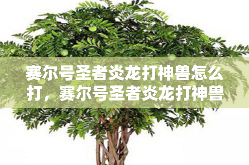 赛尔号圣者炎龙打神兽怎么打,赛尔号圣者炎龙打神兽,挑战与荣耀的传奇之旅 赛尔号圣者炎龙打神兽怎么打,赛尔号圣者炎龙打神兽,挑战与荣耀的传奇之旅