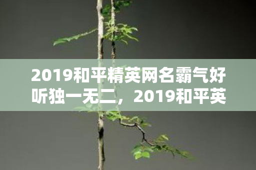 2019和平精英网名霸气好听独一无二，2019和平英网名霸气好听