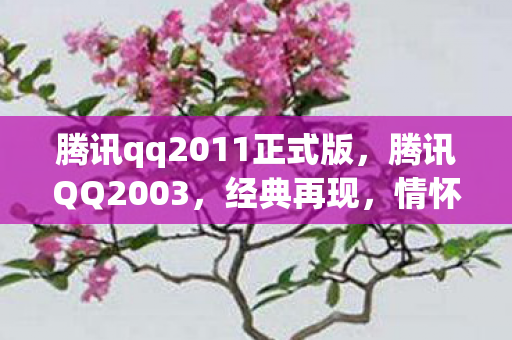 腾讯qq2011正式版，腾讯QQ2003，经典再现，情怀与创新的交响曲