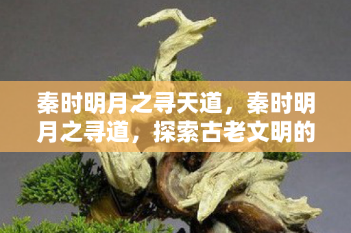 秦时明月之寻天道,秦时明月之寻道,探索古老文明的智慧与奥秘 秦时明月之寻天道,秦时明月之寻道,探索古老文明的智慧与奥秘