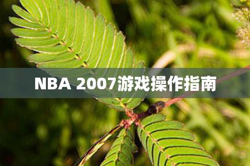 NBA 2007游戏操作指南 NBA 2007游戏操作指南