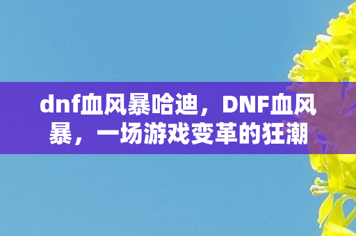 dnf血风暴哈迪,DNF血风暴,一场游戏变革的狂潮 dnf血风暴哈迪,DNF血风暴,一场游戏变革的狂潮