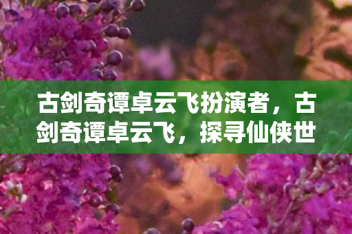 古剑奇谭卓云飞扮演者,古剑奇谭卓云飞,探寻仙侠世界的独特魅力 古剑奇谭卓云飞扮演者,古剑奇谭卓云飞,探寻仙侠世界的独特魅力