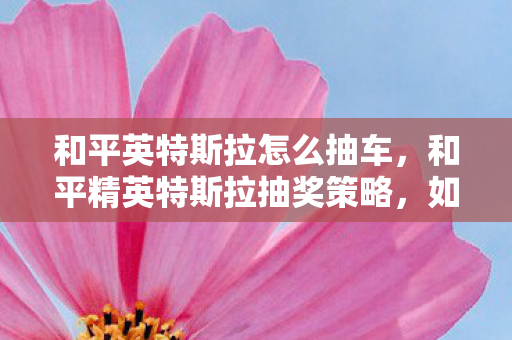 和平英特斯拉怎么抽车，和平精英特斯拉抽奖策略，如何高效获取心仪载具