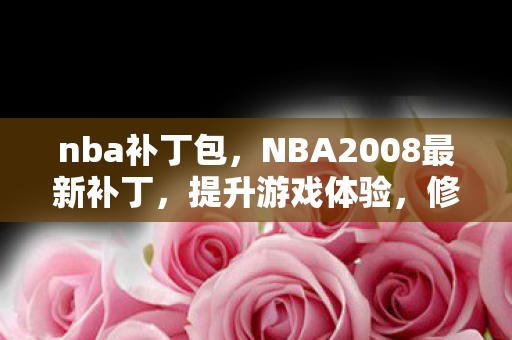 nba补丁包，NBA2008最新补丁，提升游戏体验，修复常见问题