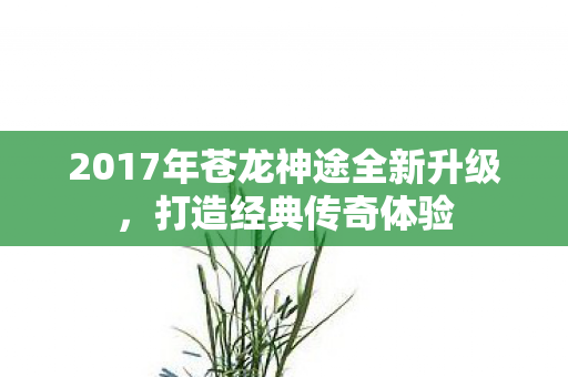 2017年苍龙神途全新升级，打造经典传奇体验