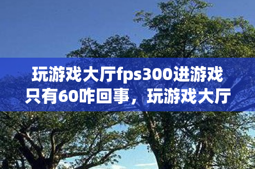 玩游戏大厅fps300进游戏只有60咋回事，玩游戏大厅，打造你的专属娱乐空间