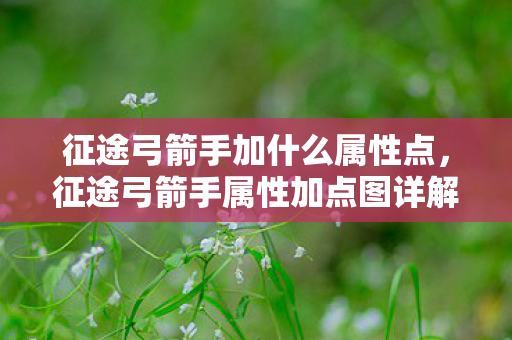 征途弓箭手加什么属性点,征途弓箭手属性加点图详解 征途弓箭手加什么属性点,征途弓箭手属性加点图详解