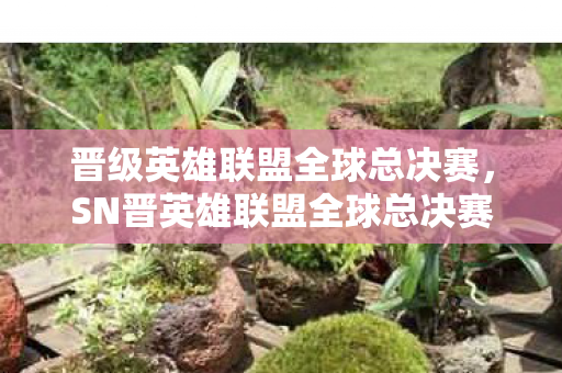 晋级英雄联盟全球总决赛，SN晋英雄联盟全球总决赛，电竞梦与荣耀的巅峰对决