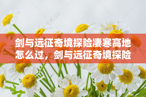 剑与远征奇境探险凄寒高地怎么过，剑与远征奇境探险，凄寒高地深度解析