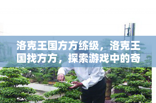 洛克王国方方练级,洛克王国找方方,探索游戏中的奇妙冒险 洛克王国方方练级,洛克王国找方方,探索游戏中的奇妙冒险