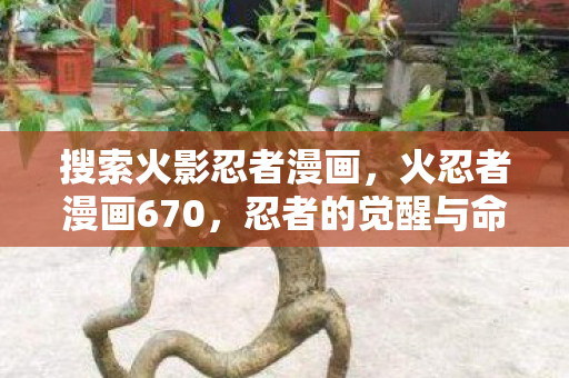 搜索火影忍者漫画,火忍者漫画670,忍者的觉醒与命运的交织 搜索火影忍者漫画,火忍者漫画670,忍者的觉醒与命运的交织