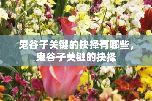 鬼谷子关键的抉择有哪些,鬼谷子关键的抉择 鬼谷子关键的抉择有哪些,鬼谷子关键的抉择
