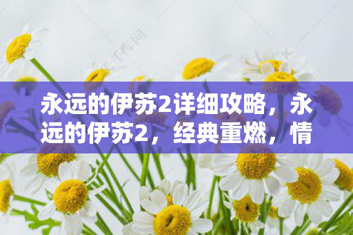 永远的伊苏2详细攻略,永远的伊苏2,经典重燃,情怀再现 永远的伊苏2详细攻略,永远的伊苏2,经典重燃,情怀再现