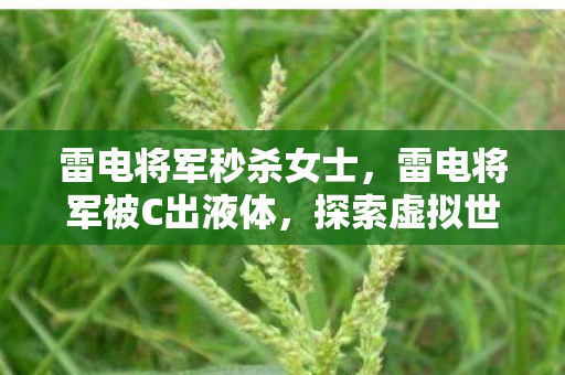雷电将军秒杀女士，雷电将军被C出液体，探索虚拟世界的禁忌边缘