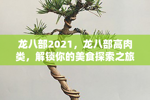 龙八部2021,龙八部高肉类,解锁你的美食探索之旅 龙八部2021,龙八部高肉类,解锁你的美食探索之旅