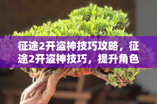 征途2开盗神技巧攻略,征途2开盗神技巧,提升角色战斗力的关键步骤 征途2开盗神技巧攻略,征途2开盗神技巧,提升角色战斗力的关键步骤