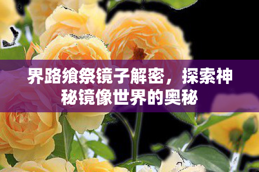 界路飨祭镜子解密，探索神秘镜像世界的奥秘