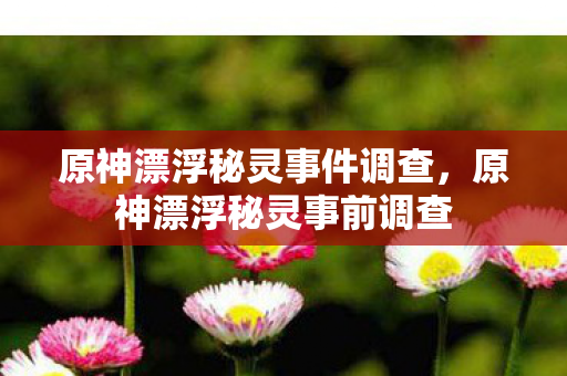 原神漂浮秘灵事件调查,原神漂浮秘灵事前调查 原神漂浮秘灵事件调查,原神漂浮秘灵事前调查