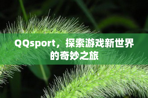QQsport,探索游戏新世界的奇妙之旅 QQsport,探索游戏新世界的奇妙之旅
