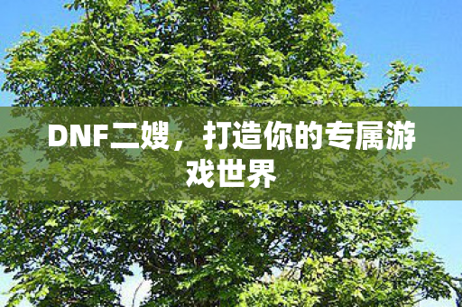 DNF二嫂,打造你的专属游戏世界 DNF二嫂,打造你的专属游戏世界