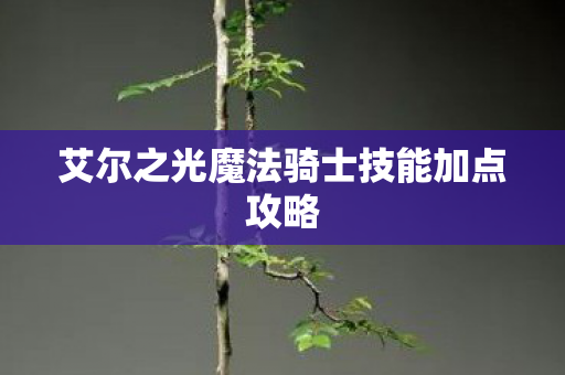 艾尔之光魔法骑士技能加点攻略 艾尔之光魔法骑士技能加点攻略