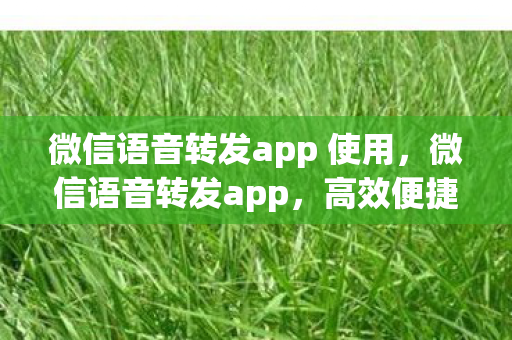 微信语音转发app 使用,微信语音转发app,高效便捷,重塑沟通新体验 微信语音转发app 使用,微信语音转发app,高效便捷,重塑沟通新体验
