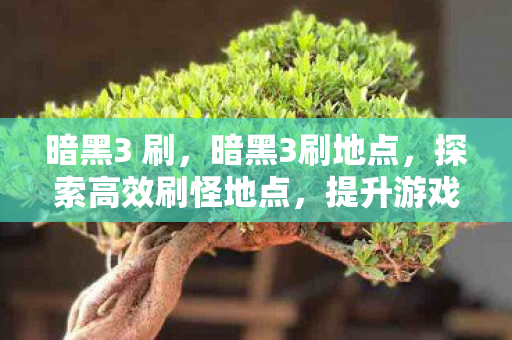 暗黑3 刷,暗黑3刷地点,探索高效刷怪地点,提升游戏效率 暗黑3 刷,暗黑3刷地点,探索高效刷怪地点,提升游戏效率