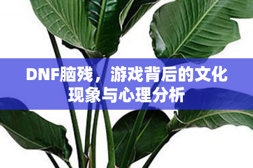 DNF脑残,游戏背后的文化现象与心理分析 DNF脑残,游戏背后的文化现象与心理分析