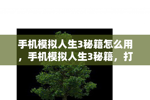手机模拟人生3秘籍怎么用，手机模拟人生3秘籍，打造个性化游戏世界的秘密武器
