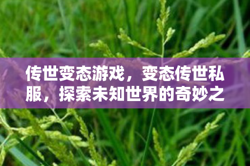 传世变态游戏,变态传世私服,探索未知世界的奇妙之旅 传世变态游戏,变态传世私服,探索未知世界的奇妙之旅