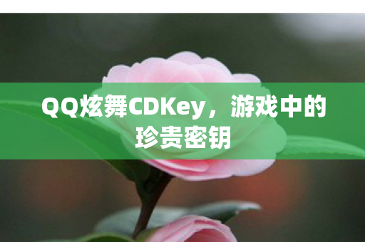 QQ炫舞CDKey,游戏中的珍贵密钥 QQ炫舞CDKey,游戏中的珍贵密钥