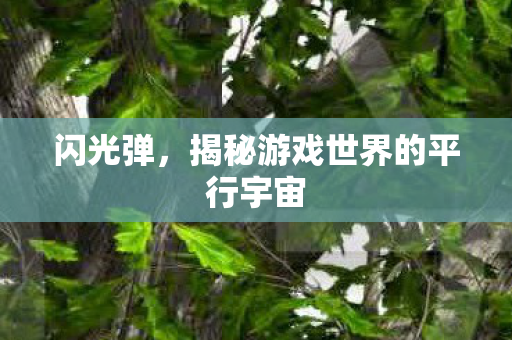 闪光弹，揭秘游戏世界的平行宇宙
