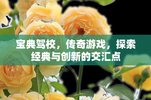 宝典驾校,传奇游戏,探索经典与创新的交汇点 宝典驾校,传奇游戏,探索经典与创新的交汇点