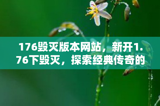 176毁灭版本网站,新开1.76下毁灭,探索经典传奇的重生之路 176毁灭版本网站,新开1.76下毁灭,探索经典传奇的重生之路