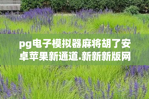 pg电子模拟器麻将胡了安卓苹果新通道.新新新版网.香港，PG电子模拟器，深度解析与体验分享