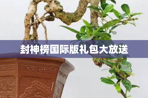 封神榜国际版礼包大放送