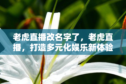 老虎直播改名字了,老虎直播,打造多元化娱乐新体验 老虎直播改名字了,老虎直播,打造多元化娱乐新体验