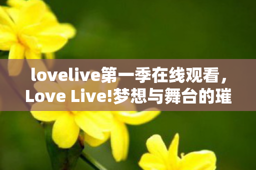 lovelive第一季在线观看,Love Live!梦想与舞台的璀璨交响曲 lovelive第一季在线观看,Love Live!梦想与舞台的璀璨交响曲