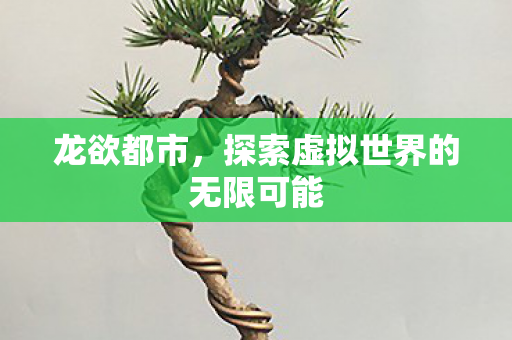 龙欲都市,探索虚拟世界的无限可能 龙欲都市,探索虚拟世界的无限可能