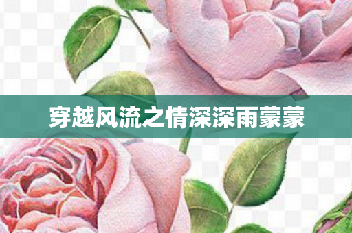 穿越风流之情深深雨蒙蒙 穿越风流之情深深雨蒙蒙